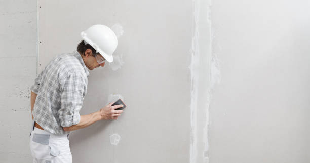 Best Basement Mold Removal  in Tehachapi, CA